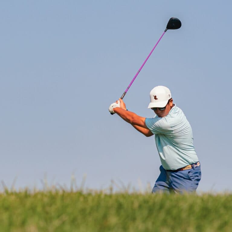 Companion Amenity Committees Image